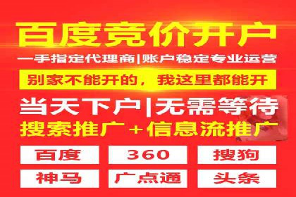 SEM托管服务案例：打造全方位营销解决方案